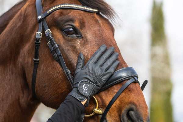 Guantes de equitación negros – BlackMotion | Celiana Equestrian