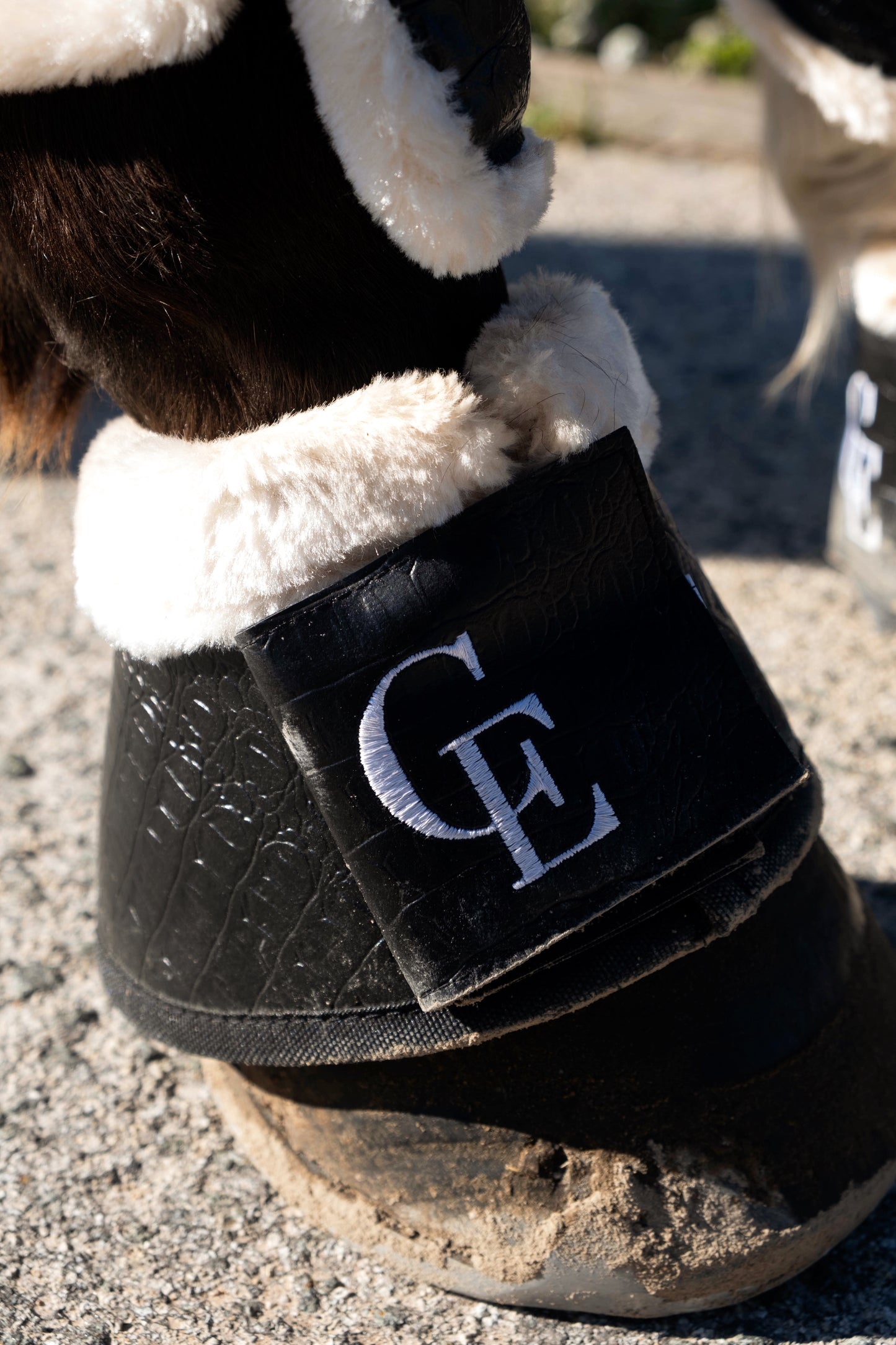 Campanas de protección para caballo negras efecto cocodrilo – Soft Croco | Celiana Equestrian