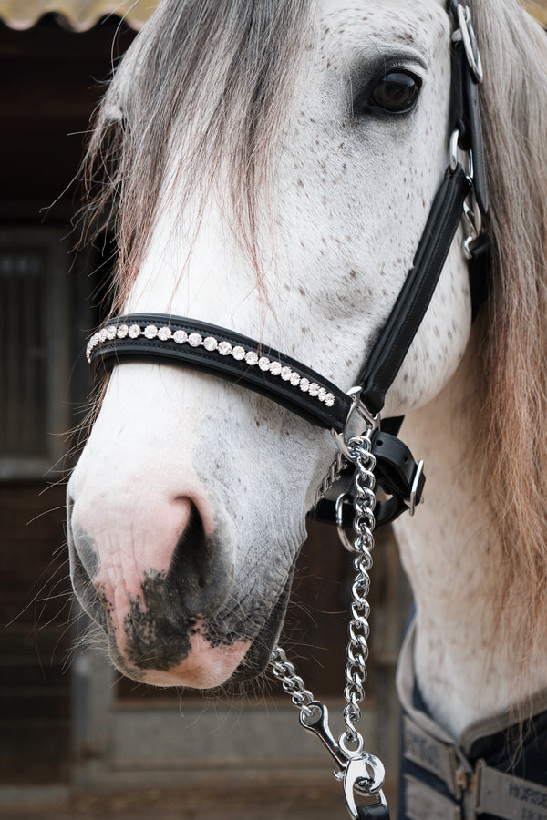 Cabezada de cuero para caballo – Imperial | Celiana Equestrian