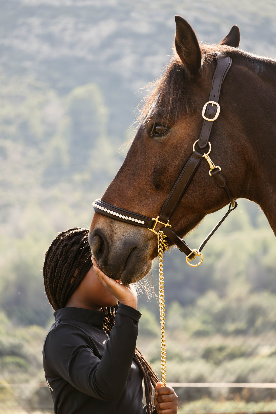 Top 5 accesorios de equitación para una amazona elegante