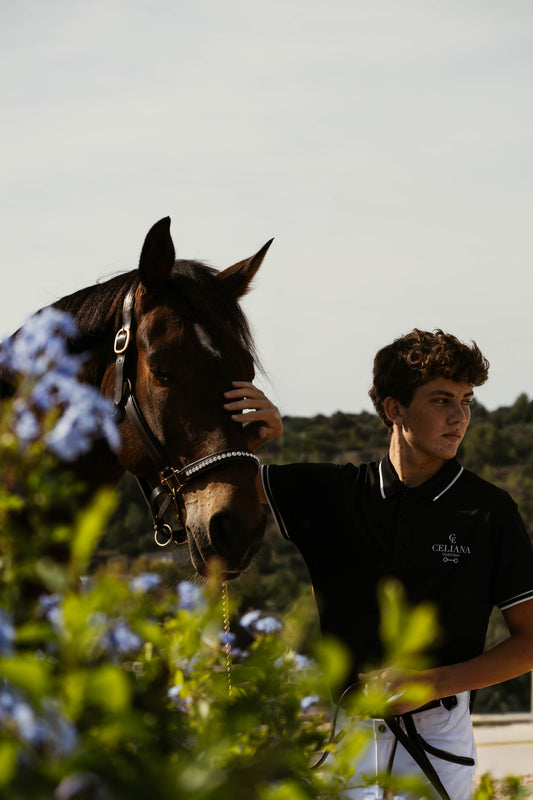 ¿Qué comprar en una tienda ecuestre online? Guía completa para jinetes