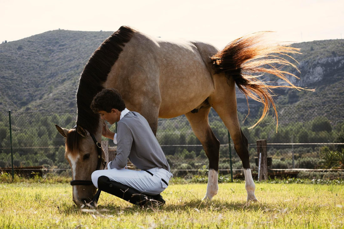 Relación caballo-jinete: fundamento de una equitación moderna, elegante y responsable