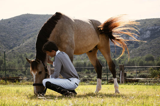 Relación caballo-jinete: fundamento de una equitación moderna, elegante y responsable