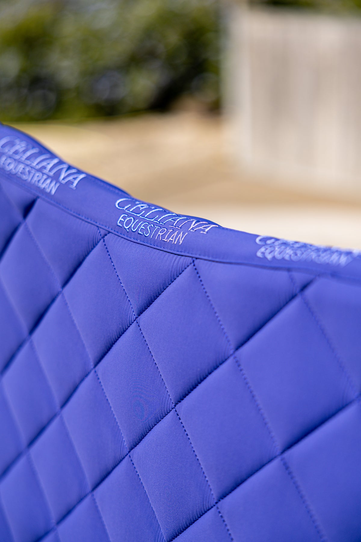 Pack Majesty Blue — Sudadero + Vendas