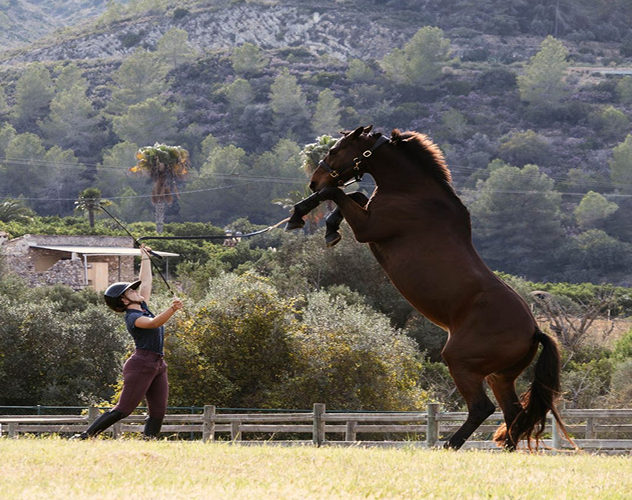 Julie y Et Hop — El arte de la libertad