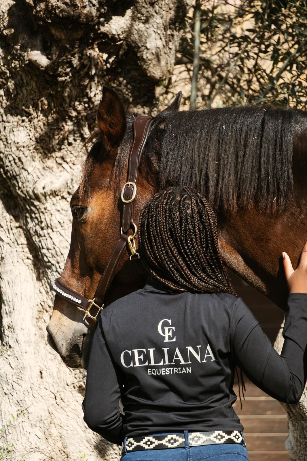 Base Layer Long Sleeve Harmonia