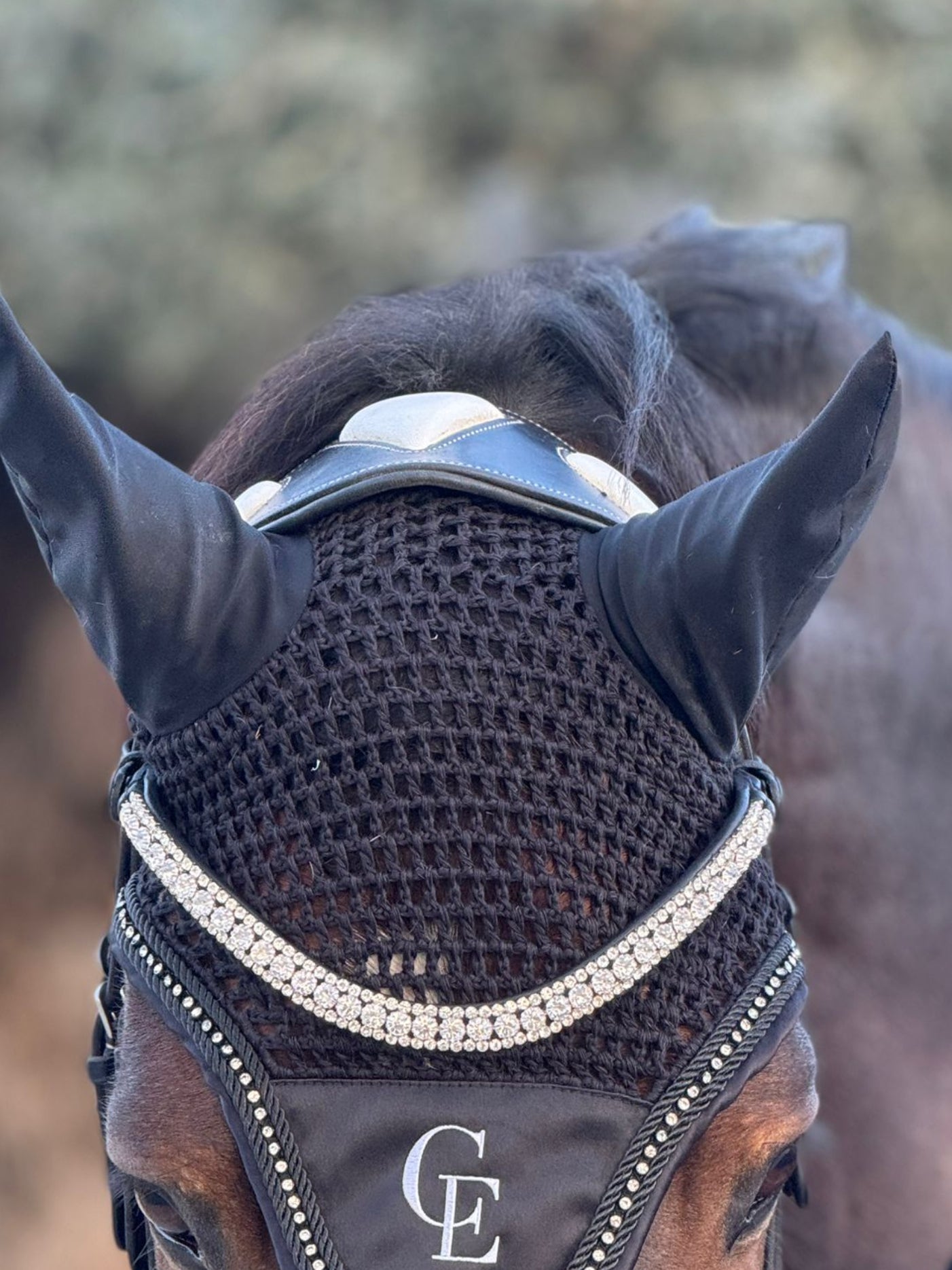 Frontal plata para caballo con strass plateado Celiana Equestrian