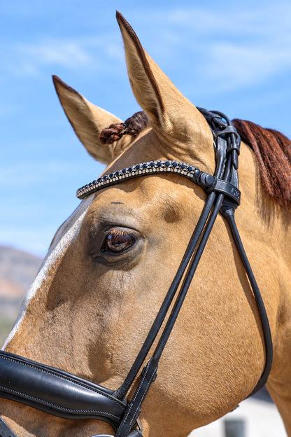Caballo bayo claro con Frontalera Cristal Prestige negra y cabezada de cuero, de perfil bajo cielo azul