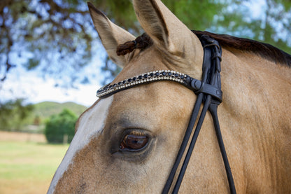 Detalle de la Frontalera Cristal Prestige negra con cristales sobre caballo bayo claro, en el campo