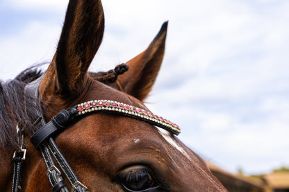 Detalle de la Frontalera Cristal Prestige en rosa sobre la frente de un caballo bayo, con doble hilera de strass