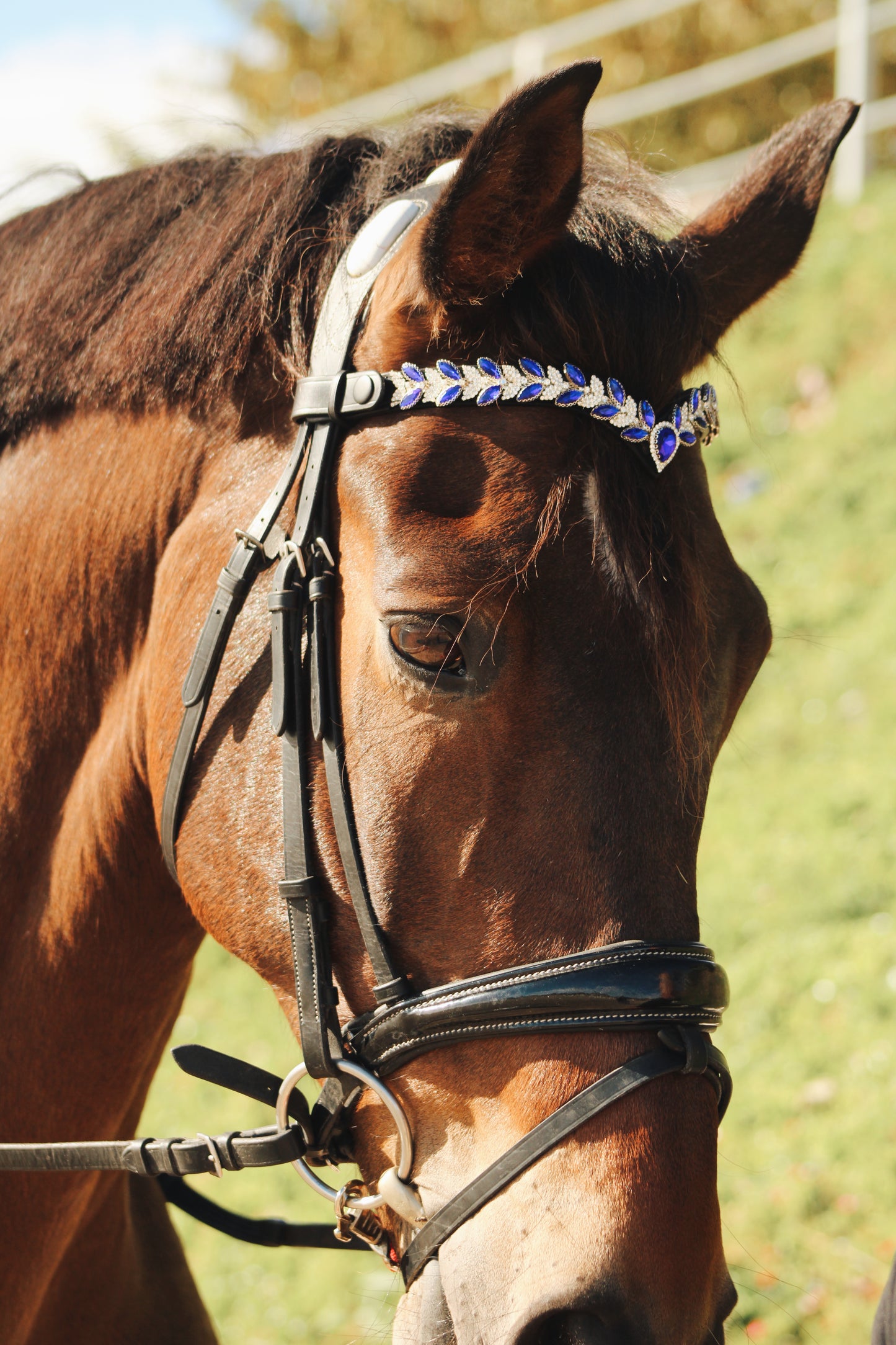 Frontalera ecuestre azul con cristales puesta en caballo – Celiana Equestrian