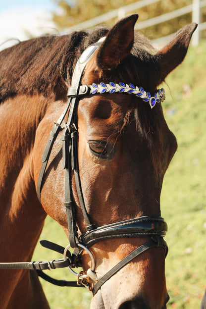 Frontalera ecuestre azul con cristales puesta en caballo – Celiana Equestrian