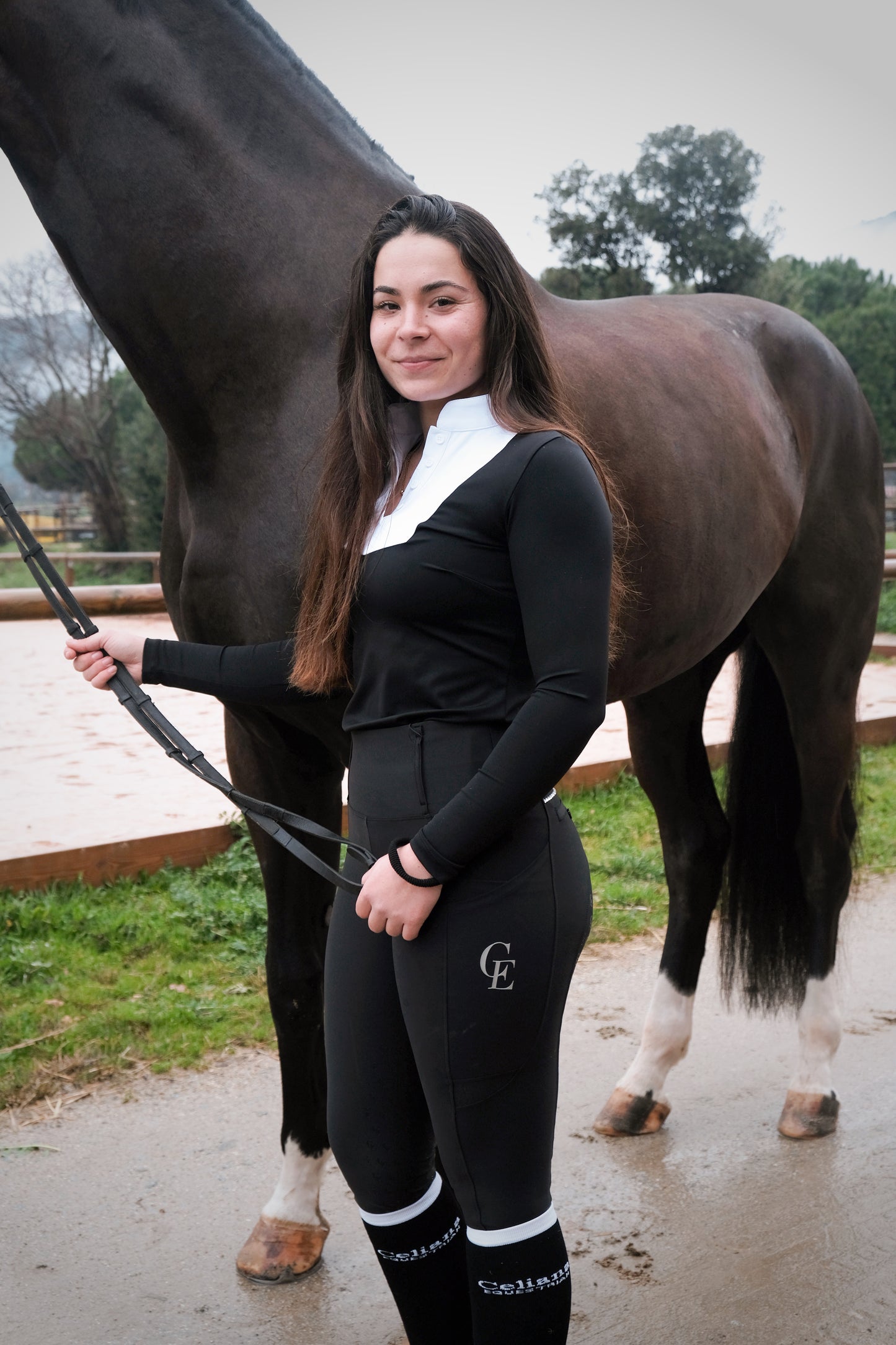 Monarque – Top de concours : élégance et performance