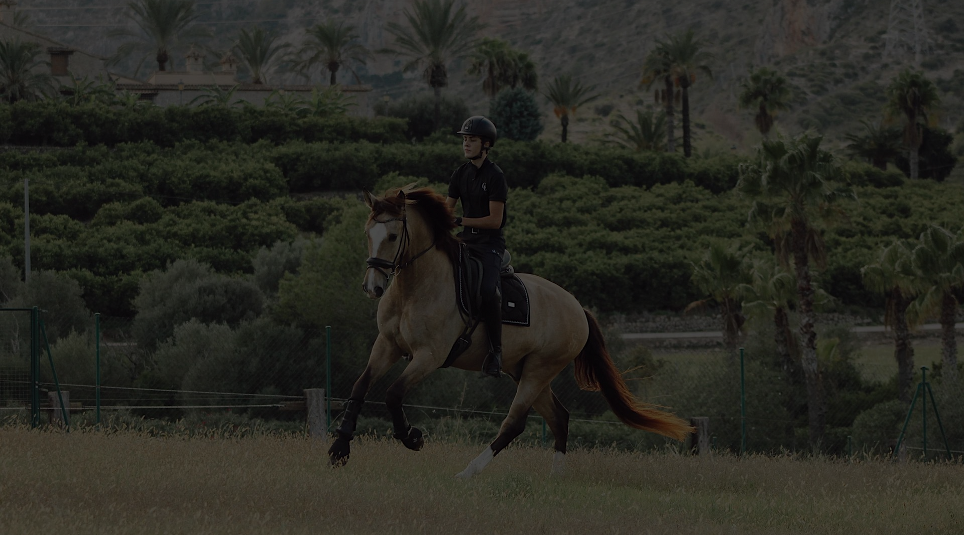 Donde la elegancia del caballo se une al refinamiento de la equitación.