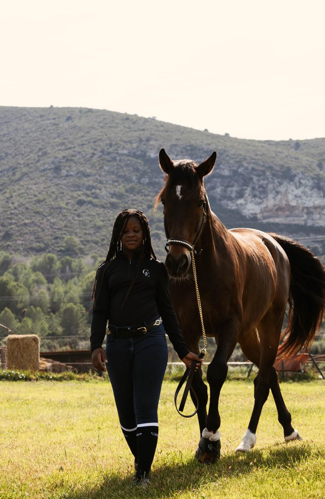 Top equitacion Harmonia | Top Técnico Hípico