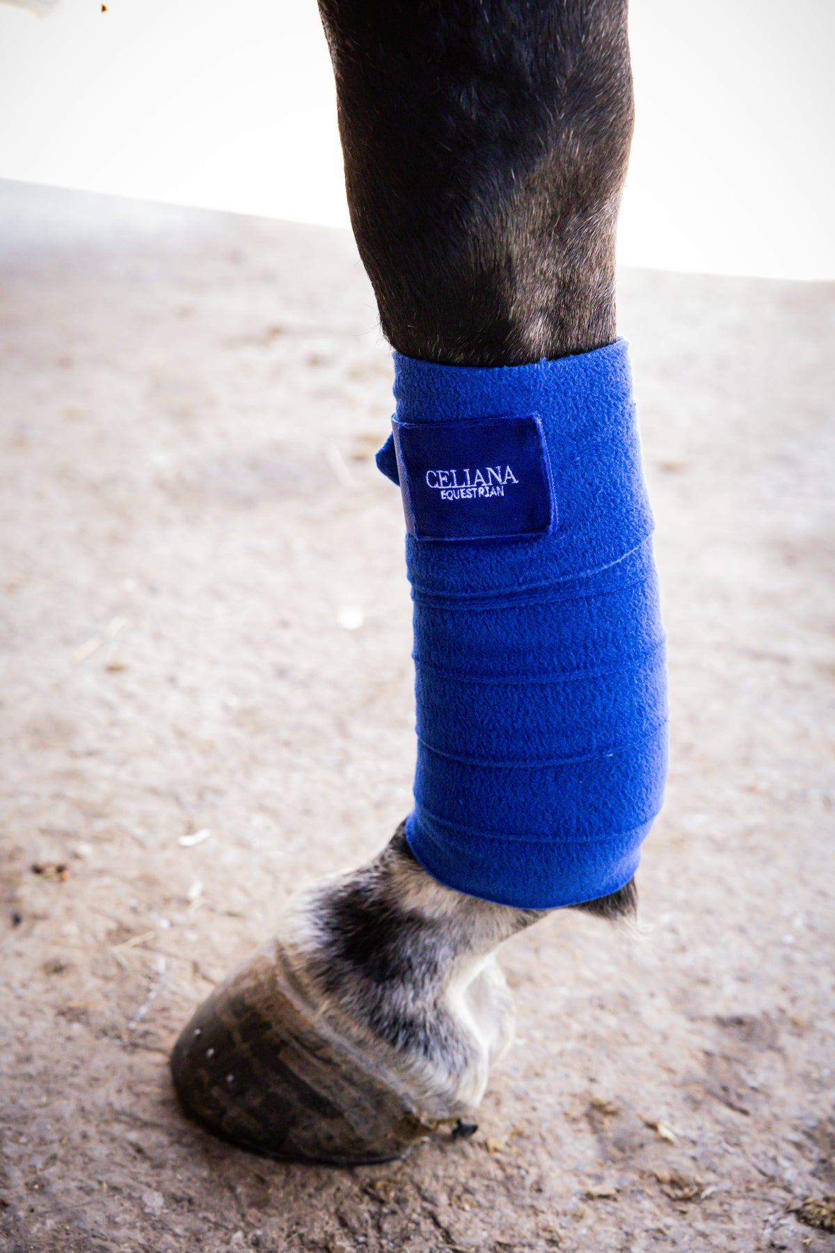 Detalle de una venda de trabajo azul Celiana Equestrian en la pata de un caballo, con etiqueta bordada con el logo