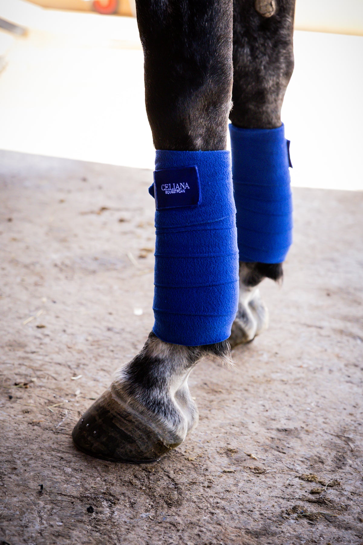 Par de vendas de trabajo azules Celiana Equestrian colocadas en las manos de un caballo