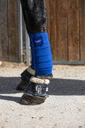 Vendas de trabajo para caballo - Celiana Equestrian